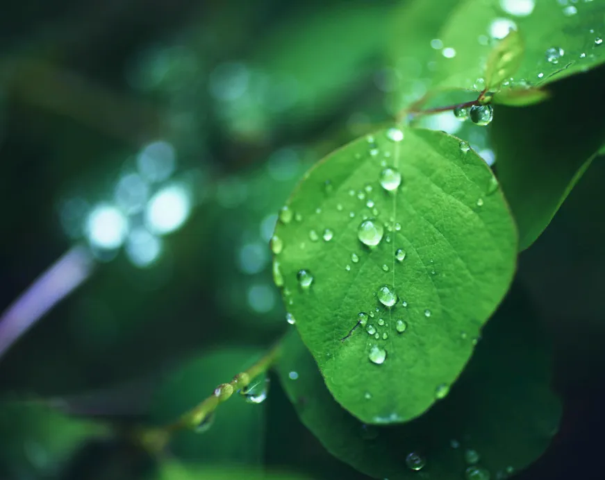 リサイクル品が並ぶ店内の様子